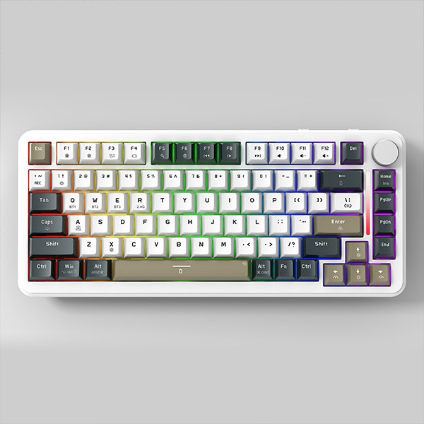 Bàn phím chơi game cơ EDRA EK375W - White