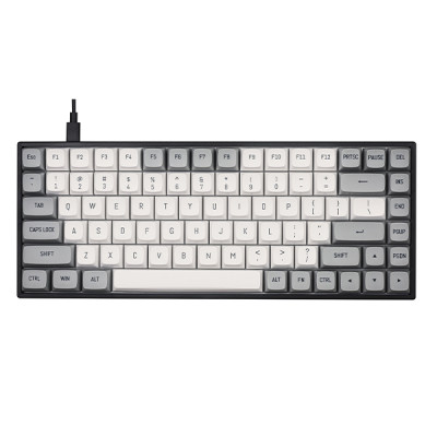 Bàn phím chơi game cơ E-DRA EK384Wv2