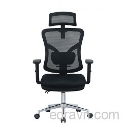 Ghế công thái học E-DRA - EEC212