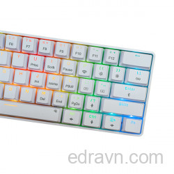 Bàn phím chơi game cơ E-DRA EK361W v3 - White