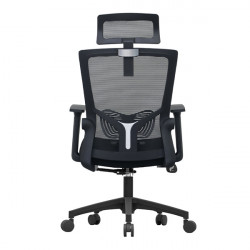 Ghế công thái học E-DRA - EEC216 (Chân nhựa)