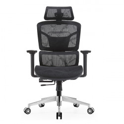 Ghế công thái học EDRA  EEC223