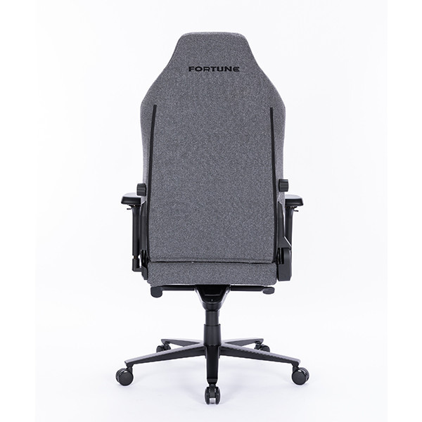 Ghế Gaming EDRA Champion EGC2025 LUX - FORTUNE