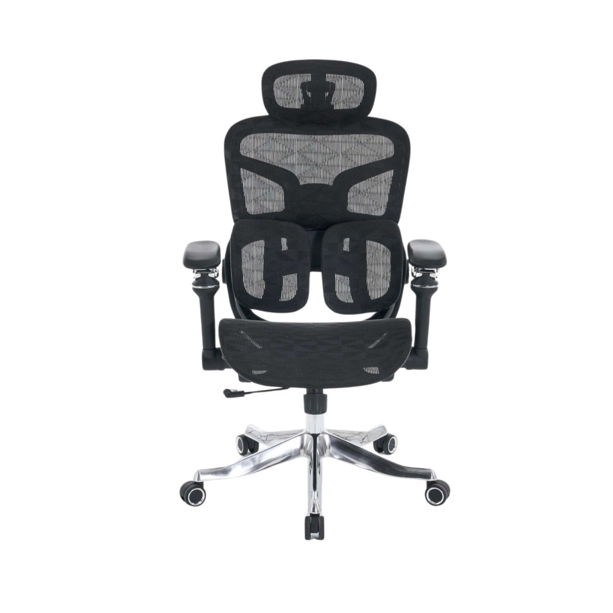 Ghế công thái học EDRA EEC227